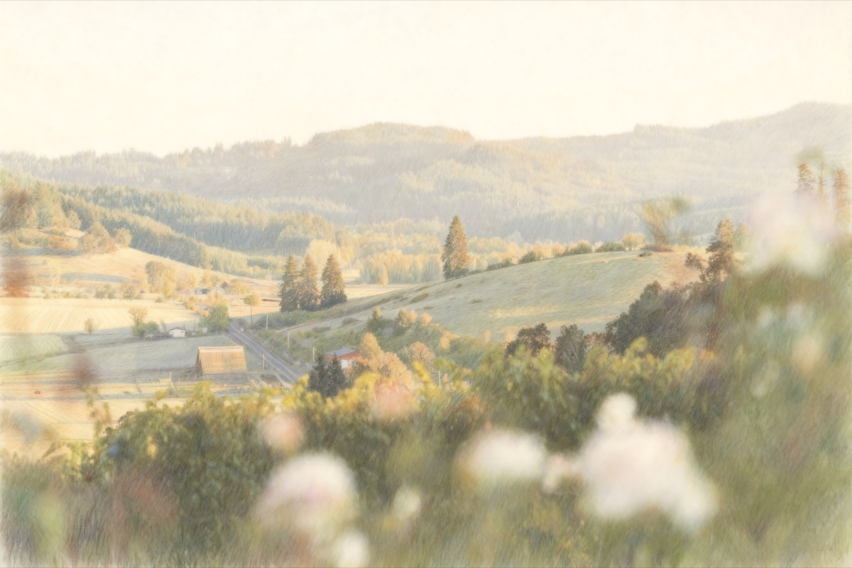 Vineyard view over hills, houses, and mountains